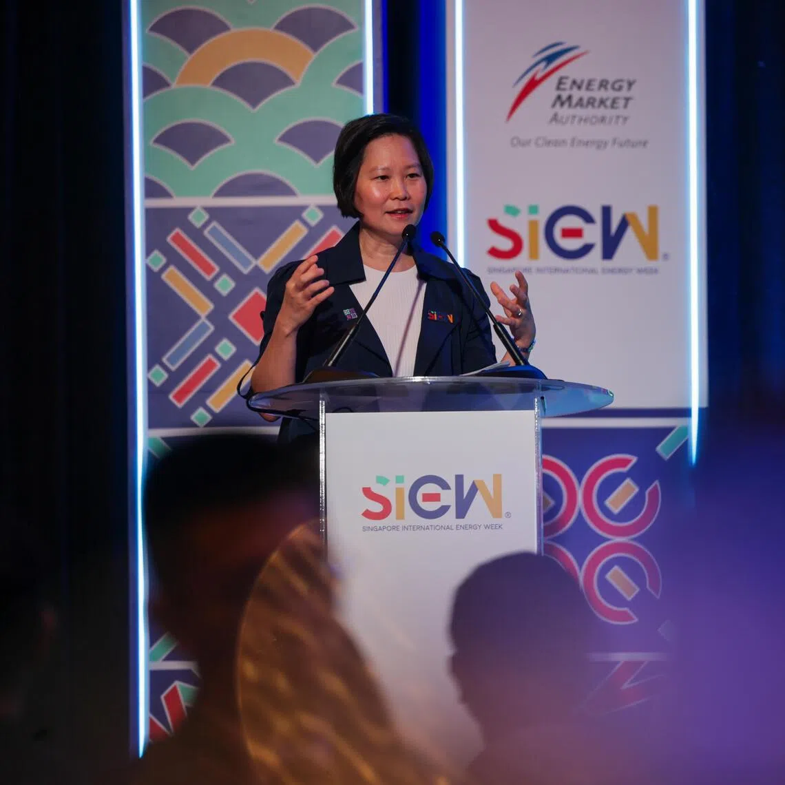 Minister of State for Trade and Industry Gan Siow Huang said the power sector is expected to continue expanding and hiring in the coming decade.