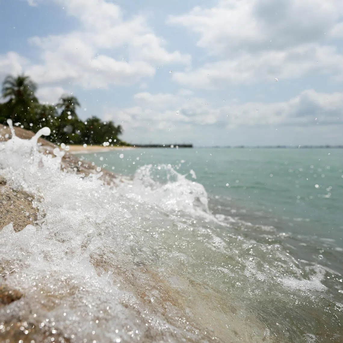 Professionals need to understand the coastal environment and its processes, and find ways to provide early warning for extreme coastal events. 