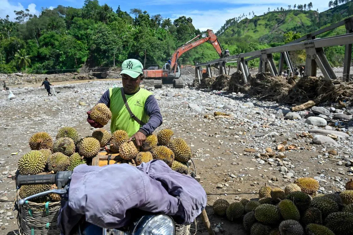 straitstimes.com - Malaysia bets on durian trails, wildlife to extend tourism boom