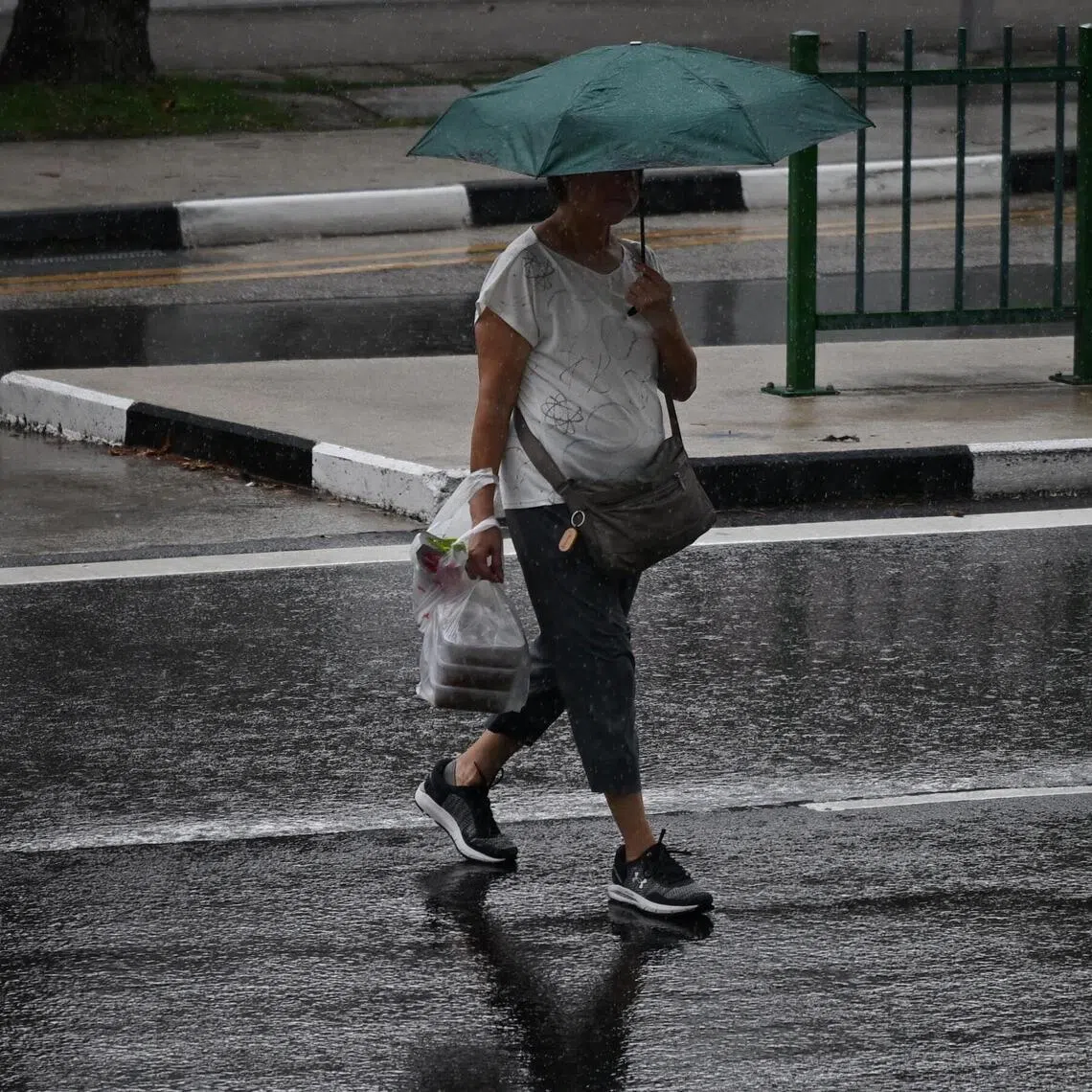 The total rainfall for the first fortnight of May is forecast to be above average over most parts of the island.