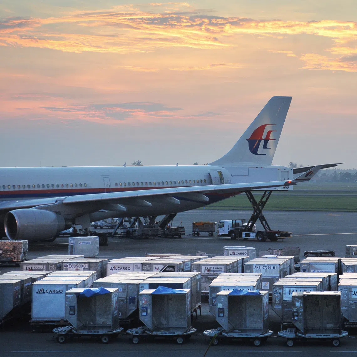 MAG had on Aug 7 announced the mandatory drug screening initiative for all its 1,260 pilots.