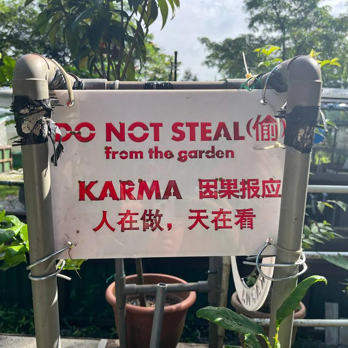 ctgardenxx - Makeshift sign put up by gardeners at the Choa Chu Kang Park allotment garden.
ST PHOTO: SHEO CHIONG TENG
