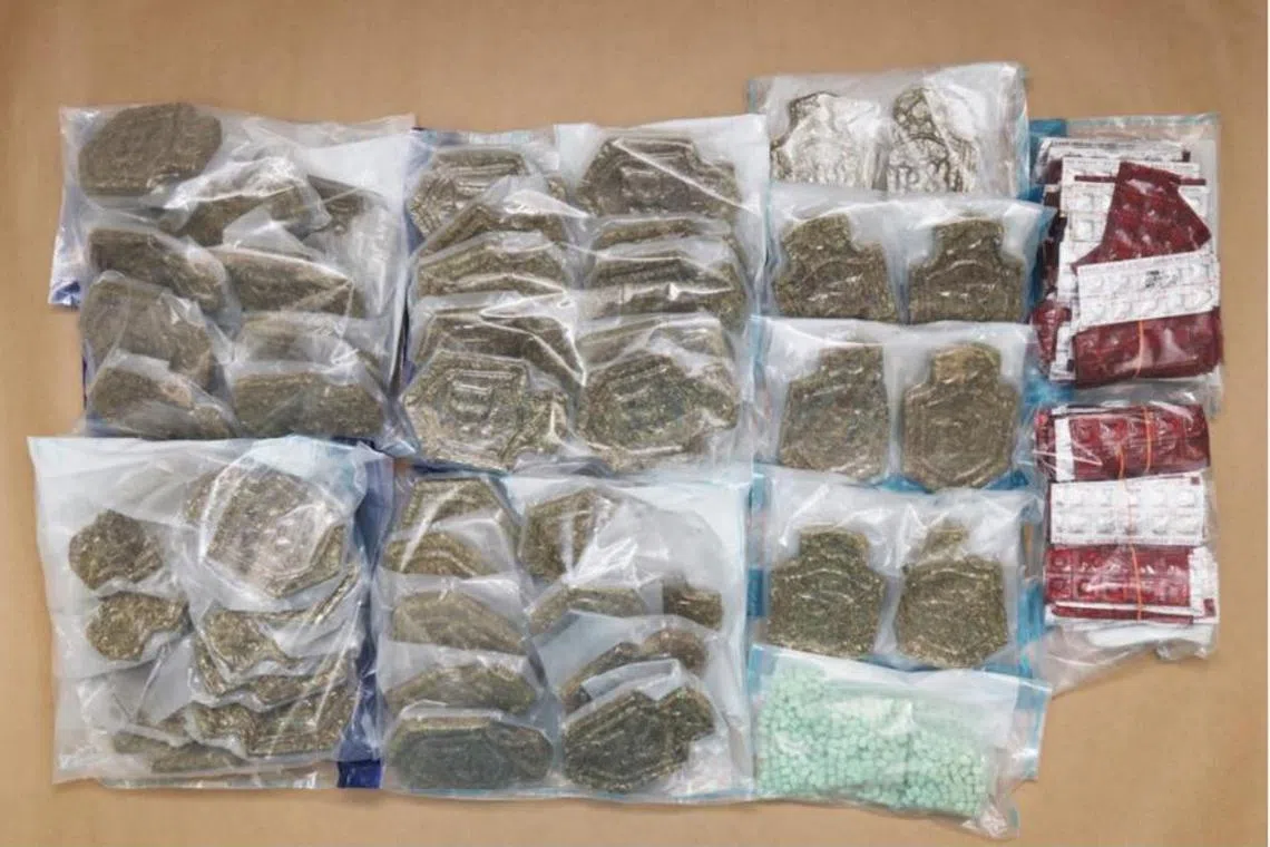 Drugs seized in a Central Narcotics Bureau operation on Oct 19, 2024, including about 6.2kg of cannabis.