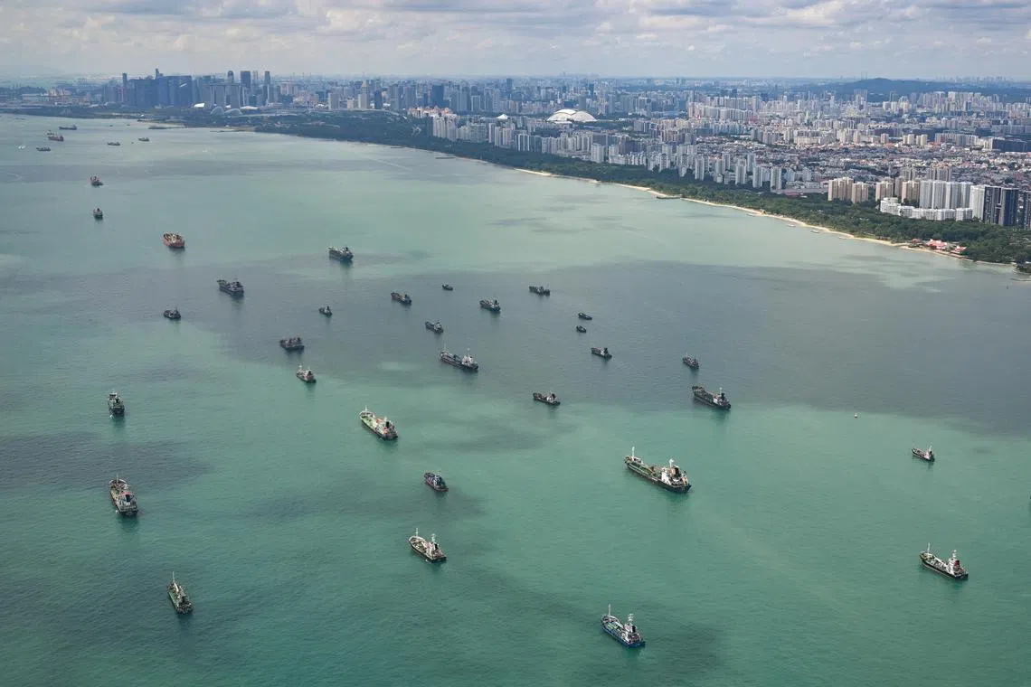 With a coastline that stretches over 300km, there is no one-size-fits-all solution for coastal protection in Singapore.