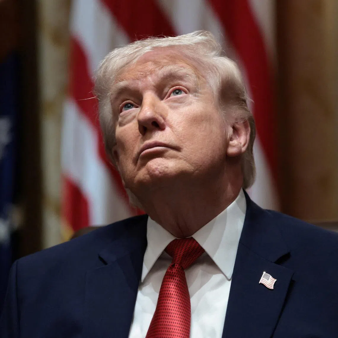 US President Donald Trump and his supporters say they believe diversity measures keep capable Americans out of jobs that instead go to minorities.