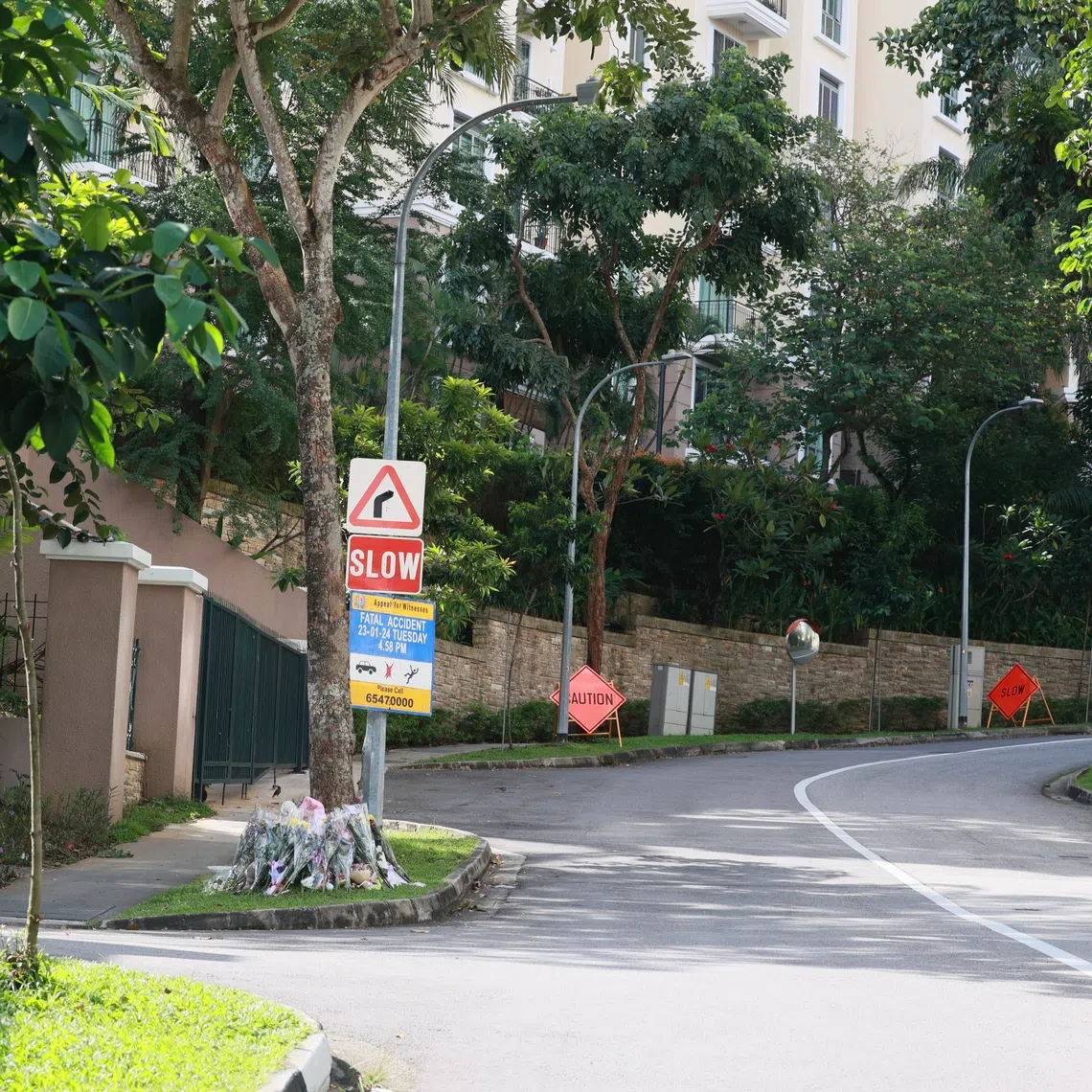 Lilyana Eva is accused of failing to ensure the safety of the four-year-old girl, who was crossing a road, Institution Hill, at an unsignalised junction.