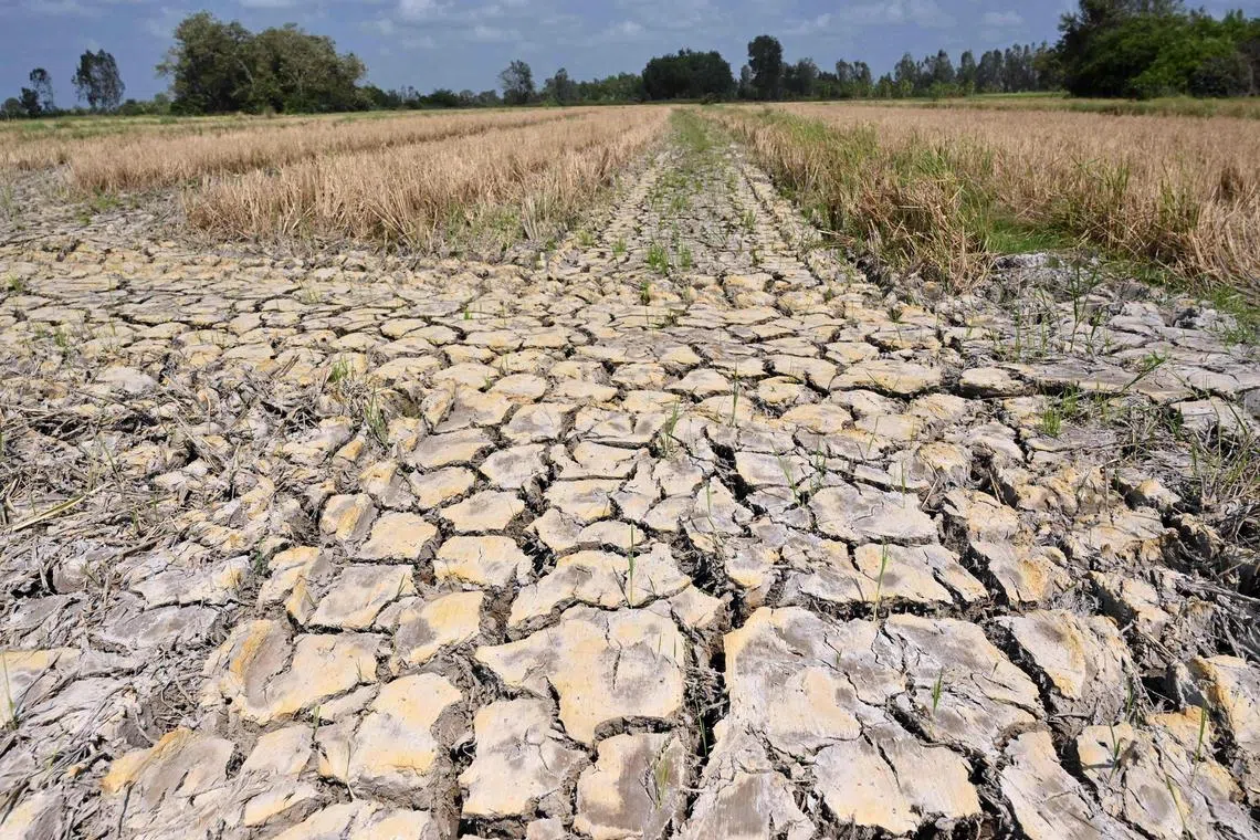 A striking 66 per cent of Gen Z workers and 71 per cent of millennials in South-east Asia said they were pushing their organisations to take action on climate change. 