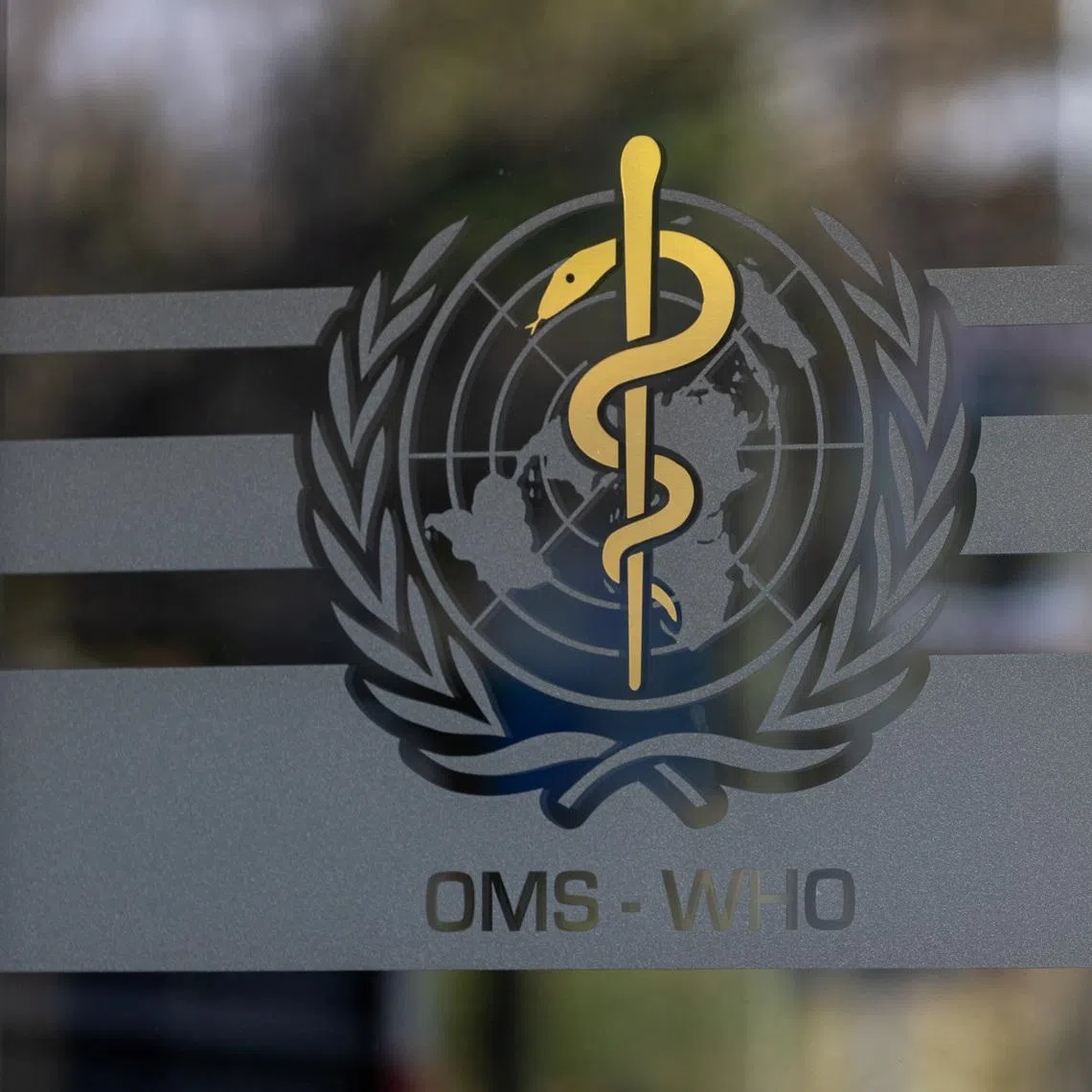 The logo of the World Health Organization is seen at the WHO headquarters in Geneva, Switzerland, January 28, 2025. REUTERS/Denis Balibouse