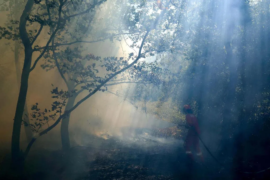 A firefighter, surrounded by smoke, spraying water at a wildfire close to the Blue Eye national park, near Sarande, south Albania, on Aug 12, 2025.