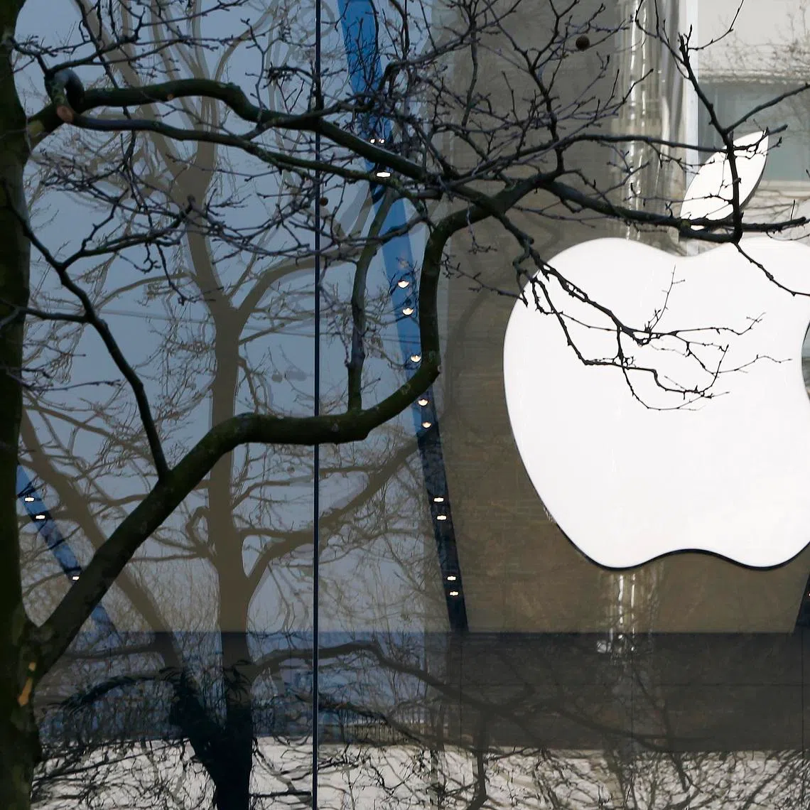 An Apple logo is seen at the entrance of an Apple Store in downtown Brussels, Belgium March 10, 2016.   REUTERS/Yves Herman