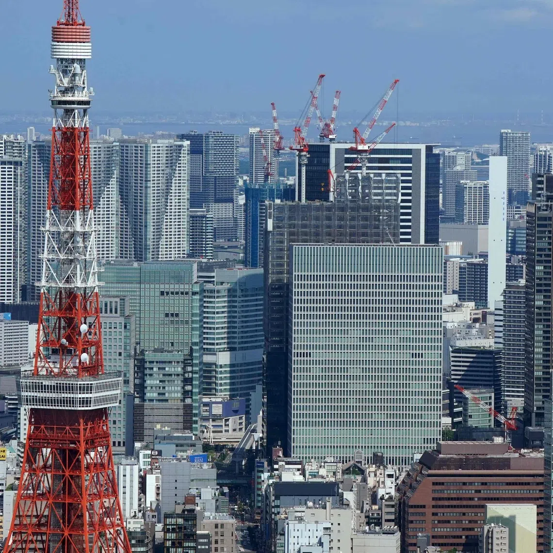 Speculative purchases that drive up prices without actual demand are believed to exist, analysts said.