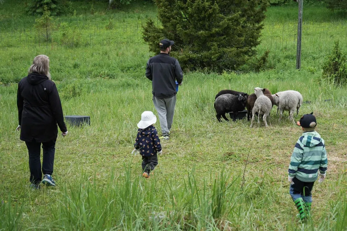 The farm is accessible only by rowboat or on foot through the forest and across a bridge.