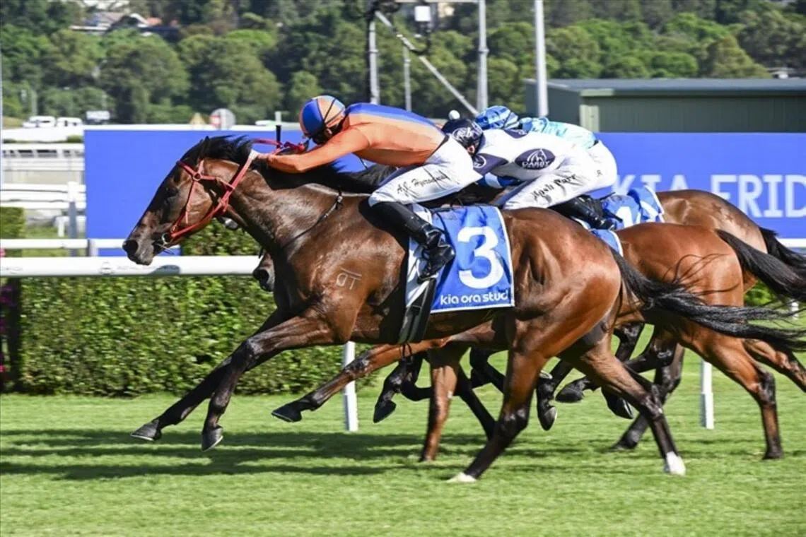 Headley Grange can score an eighth win at Royal Randwick, 21 June 2025.