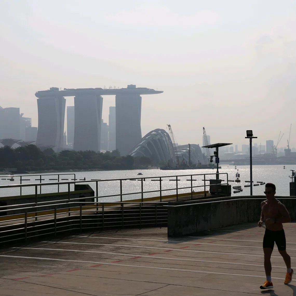 A hazy city skyline as seen from Gardens by the Bay at 4.50pm on Aug 24.