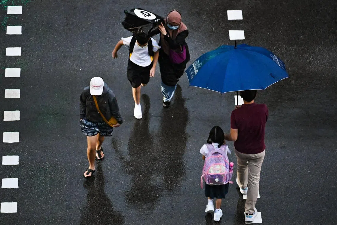 ST20240104-202486045088-Lim Yaohui-pixgeneric/
Parents with school children crossing the traffic light at Tampines Avenue 3 outside St. Hilda's Primary School on a rainy day on Jan 4, 2024.
Can be used for stories on population, budget, love, relationship, family, life, children, rain, weather, climate and marriage.
(ST PHOTO: LIM YAOHUI)