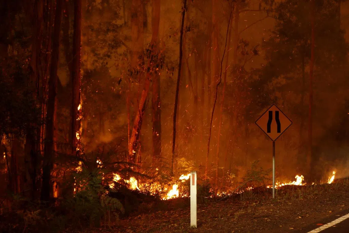 Bushfires burn between the townships of Bemm River and Cann River in eastern Gippsland on Jan 2, 2020, Australia. 