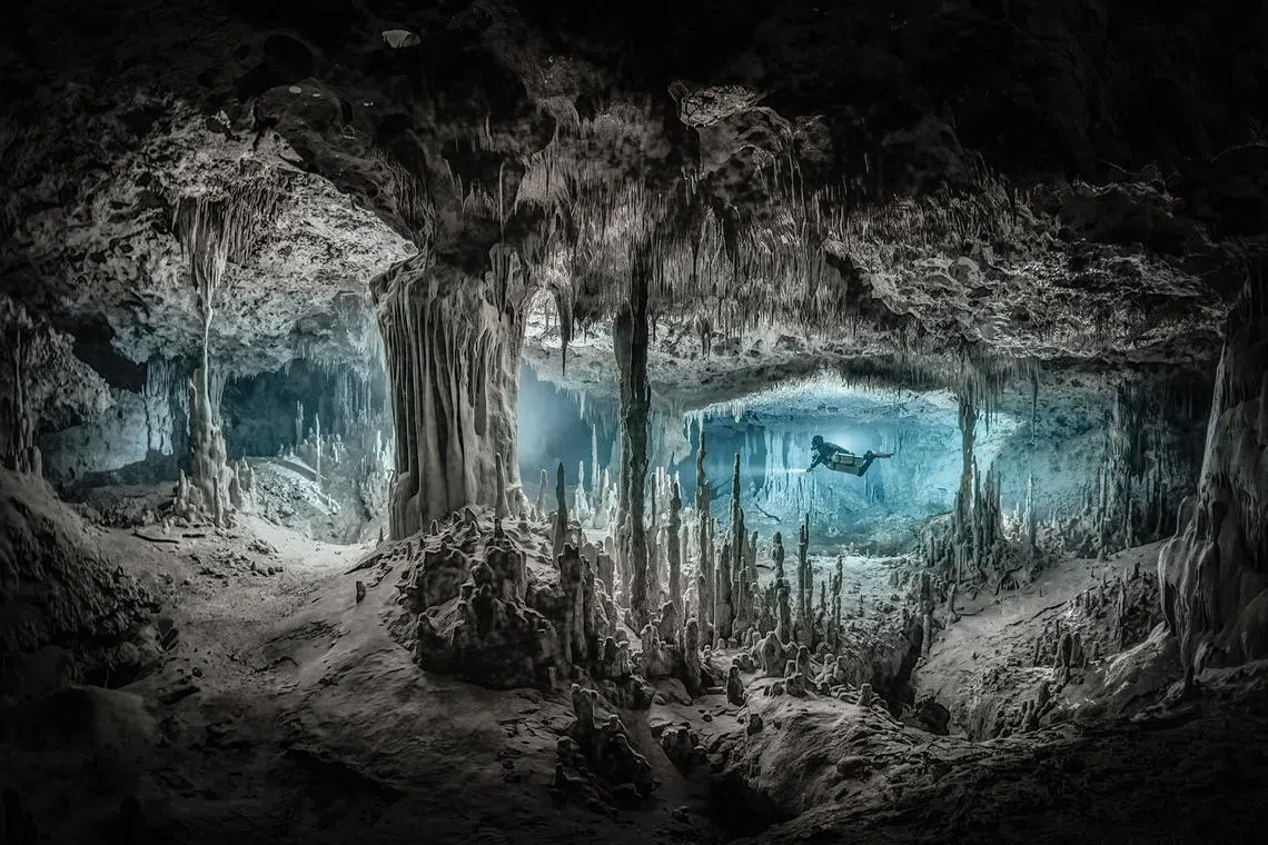 The flooded cave systems in Yucatan, Mexico carry the clean fresh water that sustain all life in the peninsula.

Martin Broen is an award-winning photographer and proficient technical diver that leverages his design sensibility as creator of experiences to craft one-of-a-kind images that encapsulate the beauty of the planet and its inhabitants, aiming to inspire awareness and foster conservation efforts.&nbsp;

Follow Martin on Instagram @m.broen.