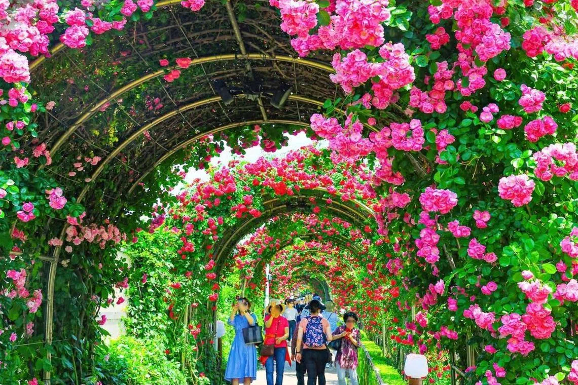 Seoul's guide to cherry-blossom viewing is organised into four themes to help residents and visitors to find routes suited to their preferences.