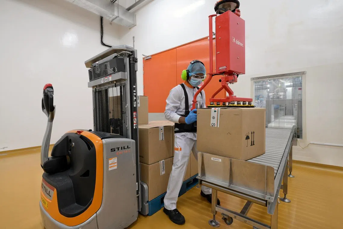 A worker wearing a back brace at Silesia Flavours South East Asia. The manufacturer has implemented several safety measures, such as the brace, which helps reduce strain.