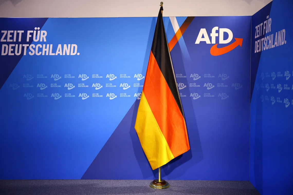 Politicians from the far-right Alternative for Germany (AfD) have allegedly filed numerous "highly problematic inquiries" at the behest of authoritarian states.