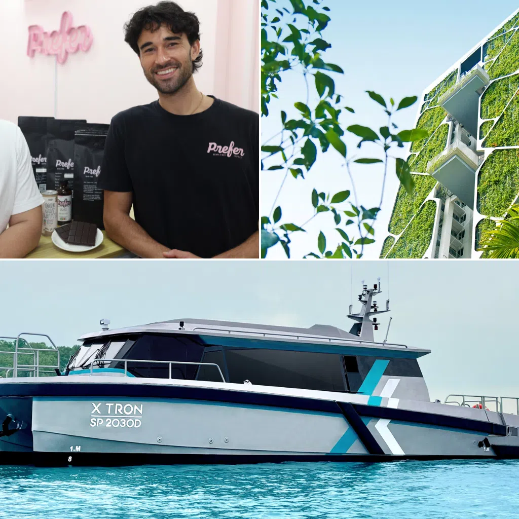 examples and benefits of sustainability in business, prefer’s bean-free coffee powders, city developments limited’s green developments, and pyxis’ electric ferries