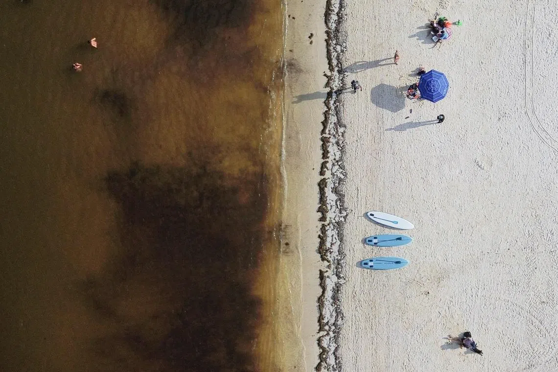 A drone view shows tourists on the shoreline as sargassum seaweed discolours the waters along Mexico’s Caribbean coast on July 24.