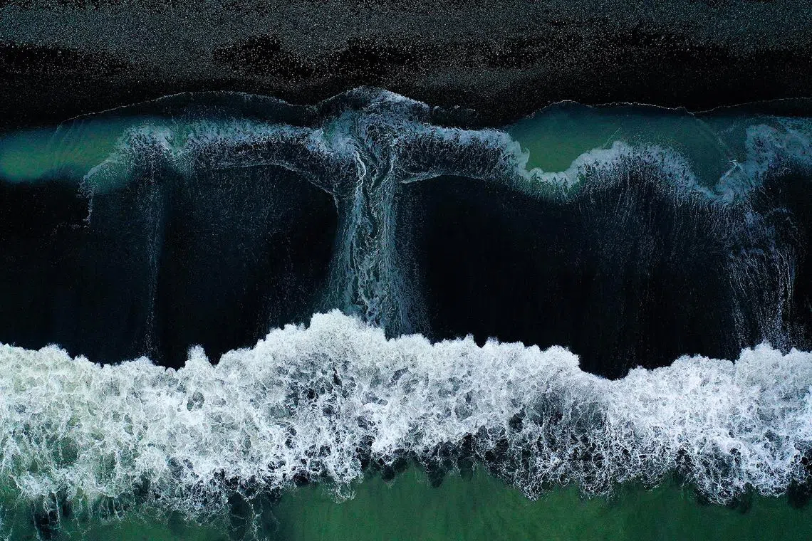 I took this photograph in the south of Iceland; at the time I wanted to imagine a cold night in a firmament of black sands where the snow-capped mountains were drawn by the swaying of the waves of the sea; over those mountains I could contemplate the green tones of an aurora borealis.

This is an aerial photograph of an Icelandic beach, from above I could see the swell of the sea and how the water left greenish puddles on the shore. &nbsp;The green colour of the water is due to the high content of phytoplankton near the surface; these photosynthetic organisms contain chlorophyll, which increases the green colour.&nbsp;


Antonio Fernandez is a Spanish photographer based in mid-west Spain. He is passionate about nature and landscapes. In his photography, Antonio is constantly searching for the purest essence of nature. His intimate vision of the landscape and personal interpretation of nature gained him many international awards and commendations, to mention just a few: Wildlife Photographer to the Year; Natural Landscape Photography Award; &nbsp;Montphoto Photo Contest; Big Picture; Imaginature – Festival Fotografia de Paisage; Montier Festival Photo,;BioPhotoContest; World Landscape Photographer.&nbsp;

Follow Antonio on Instagram @antoniofernandezphoto.