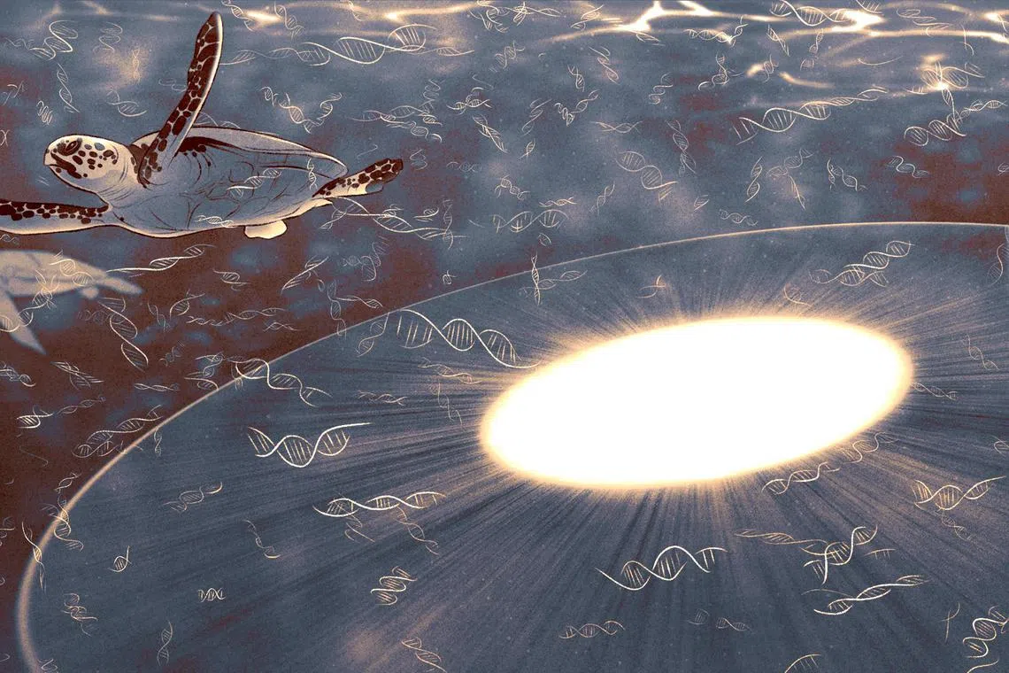 Scientists say the new DNA tool poses concerns around consent, privacy and surveillance. 