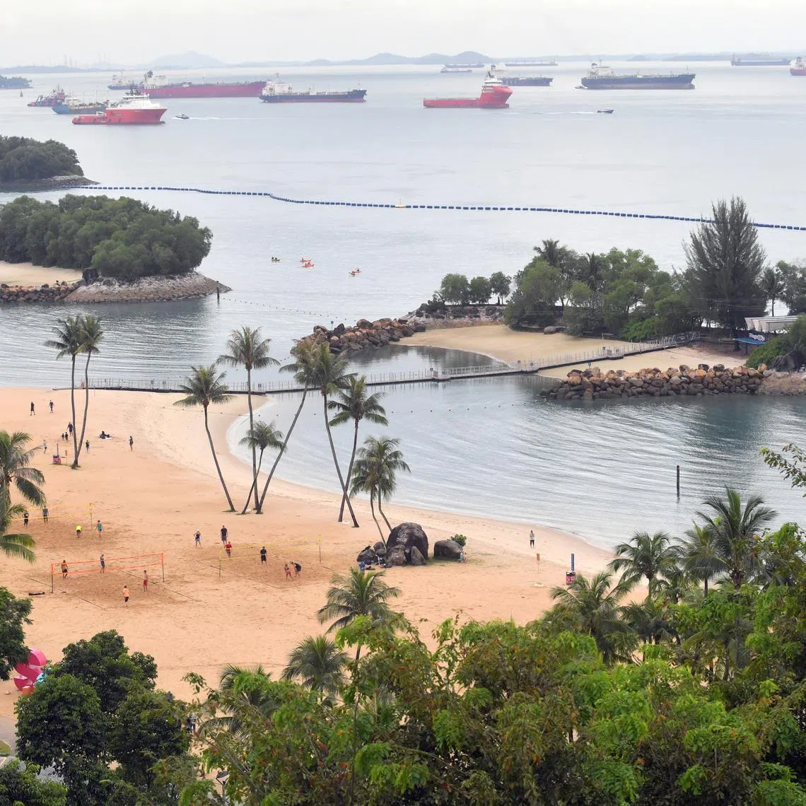 Water activities were suspended at Sentosa’s three beaches after the enclave’s first reported crocodile sighting by a Sentosa Cove resident on Jan 31.