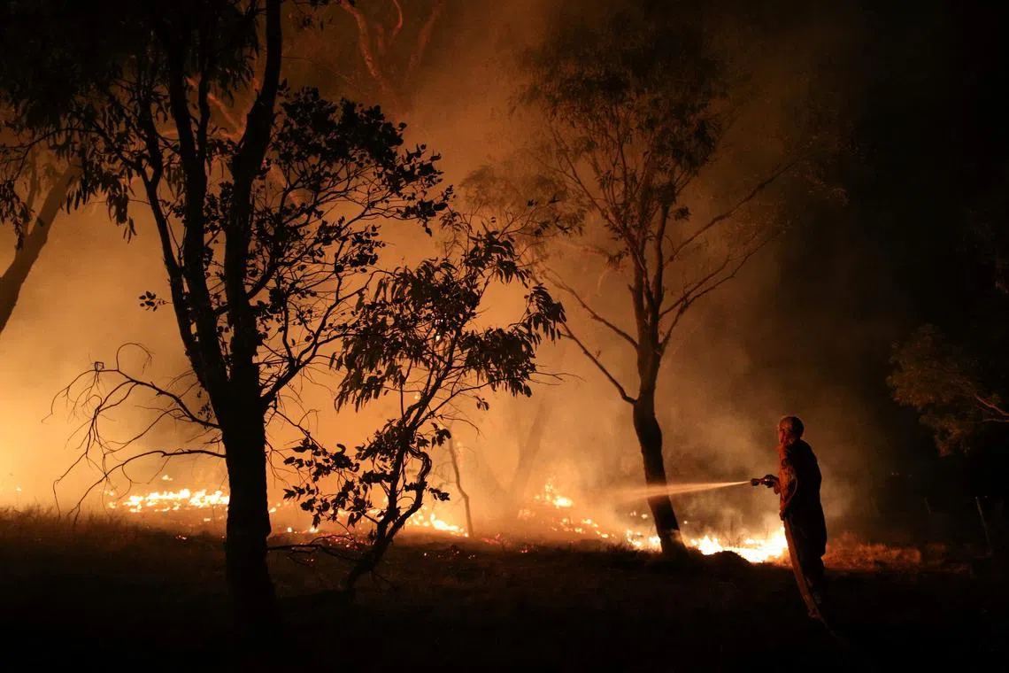 FILE PHOTO: A firefighter from a local brigade works to extinguish flames after a bushfire burnt through the area in Bredbo, New South Wales, Australia, February 2, 2020.  REUTERS/Loren Elliott/File Photo