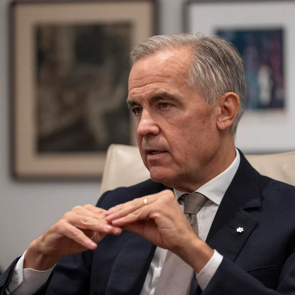 Canadian Prime Minister Mark Carney - a former central banker - said in an interview with the New York Times that the risk of Trump using force could not be ignored.