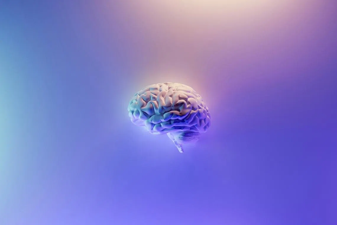 Humans and AI systems are both powerful, but in fundamentally different ways.