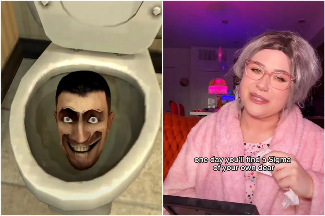 The Gen Z and Alpha slang term "skibidi" is derived from the YouTube machinima web series Skibidi Toilet, while the label "sigma" refers to independent men.