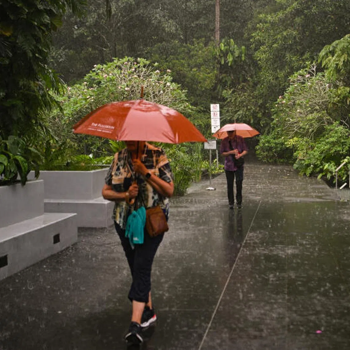 For the whole of February, Singapore received around 80 to 280 per cent more rain than average.
