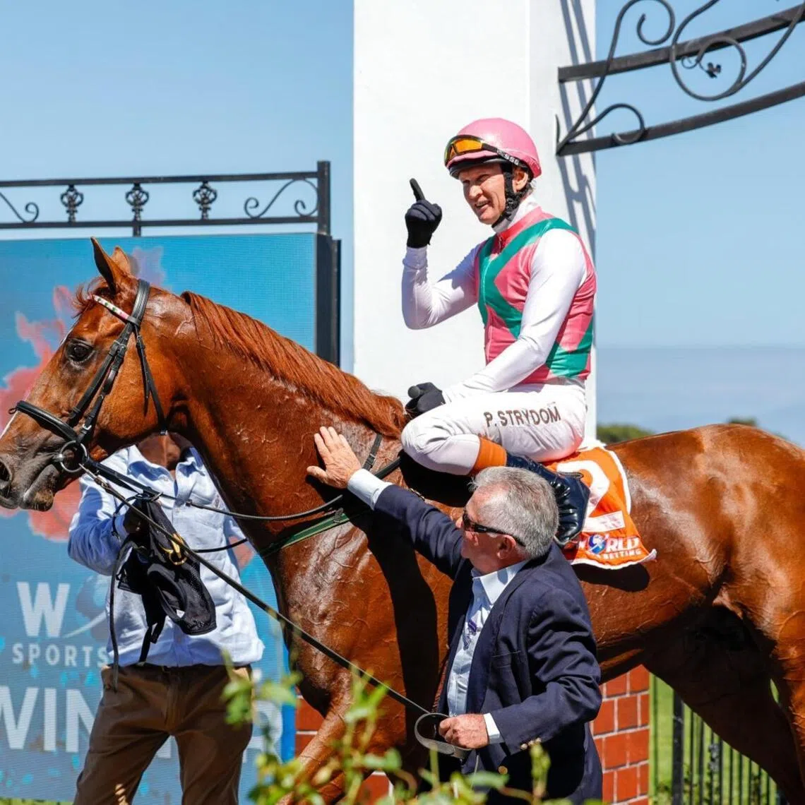 See It Again will be the horse to beat in the Grade 1 HKJC World Pool Premier's Champions Challenge (2,000m) at Turffontein on April 4.
