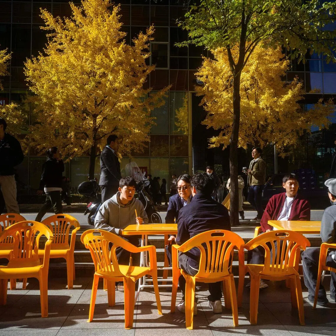Regulators found that the 160,000 imported ceramic dishes contained cadmium amounts well above South Korea’s safety limit.