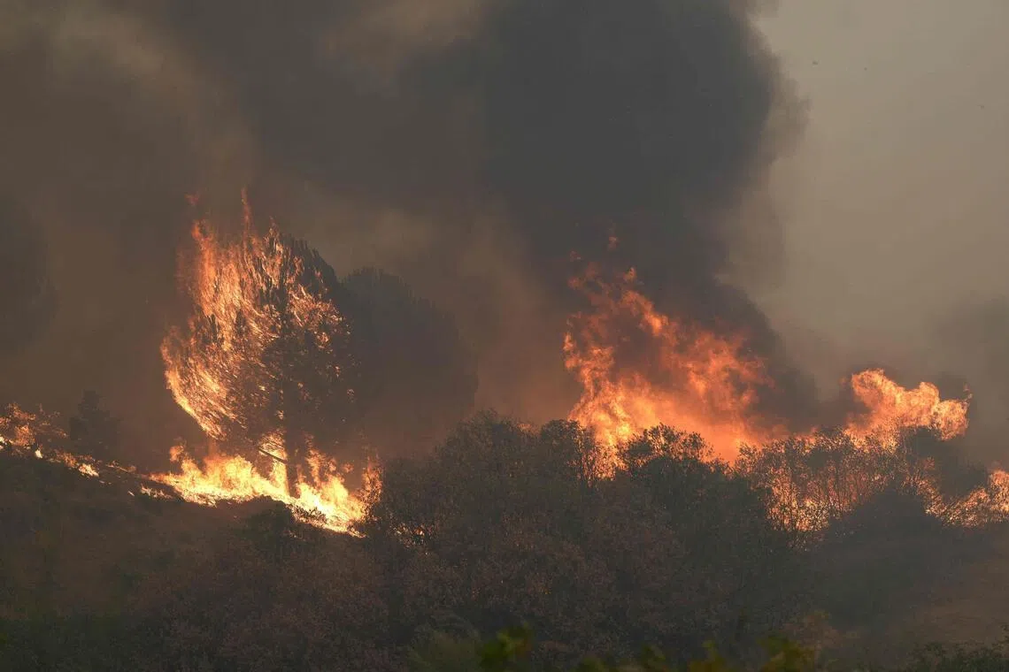 Two separate wind-fuelled wildfires combined to become one huge blaze on July 24 in the Madrid region of Spain.