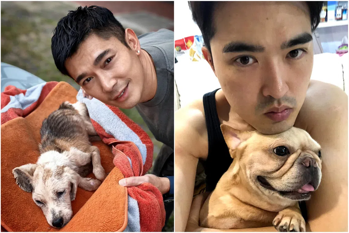 Elvin Ng (left) and Lee Teng both reflected on years of companionship and the difficult circumstances surrounding the deaths.
