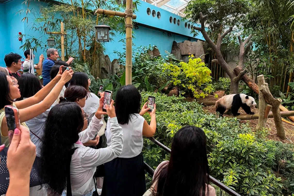 ChemCon Conferences participants at River Wonders as part of an Incentive event held by the company in Singapore.