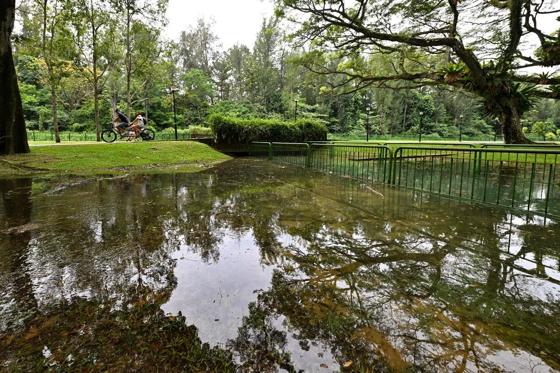 High tide at East Coast Park Area B at 12.47pm on Feb 22, 2023, causing seawater to overflow the banks of drain and canal. During high tide periods, canals and drains which lead to the sea and are therefore influenced by tides, will see high water levels, said PUB in an advisory on Feb 2, 2018.  In the event of heavy rain coinciding with the high tides, flash floods may occur in the low-lying coastal areas such as Jalan Seaview, Meyer Road, Fort Road and Tanjong Rhu.