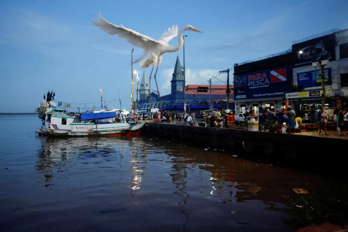 FILE PHOTO: A heron flies over the bustling Ver-o-Peso market, while anticipation grows for this year's COP30 Summit, which will be held in Belem, Para state, Brazil, February 6, 2025. REUTERS/Adriano Machado/File Photo