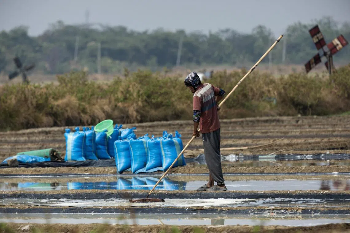 A salt farmer works at a salt pond during harvest in Pengarengan village, Cirebon, West Java province, Indonesia, July 30, 2026. REUTERS/Willy Kurniawan