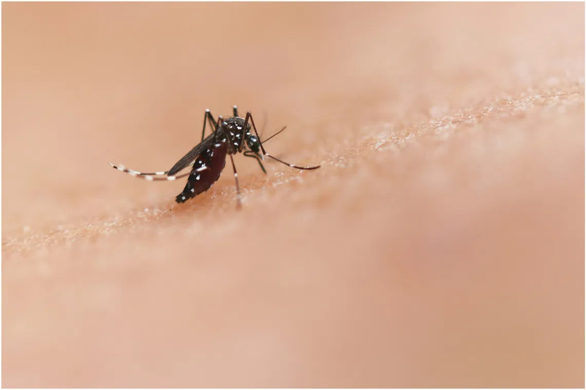In 2020, disruptions caused by the Covid-19 pandemic led to a sharp increase in malaria-related mortality, with an additional 55,000 deaths counted that year.
