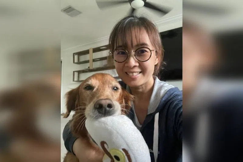 Dr Daphne Ang of The Animal Perspective Veterinary Behaviour Clinic says various treatments can significantly slow the progression of pet dementia.