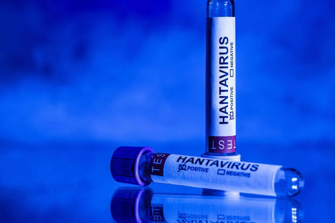 There is no vaccination or treatment available for the hantavirus, which usually spreads among rodents.