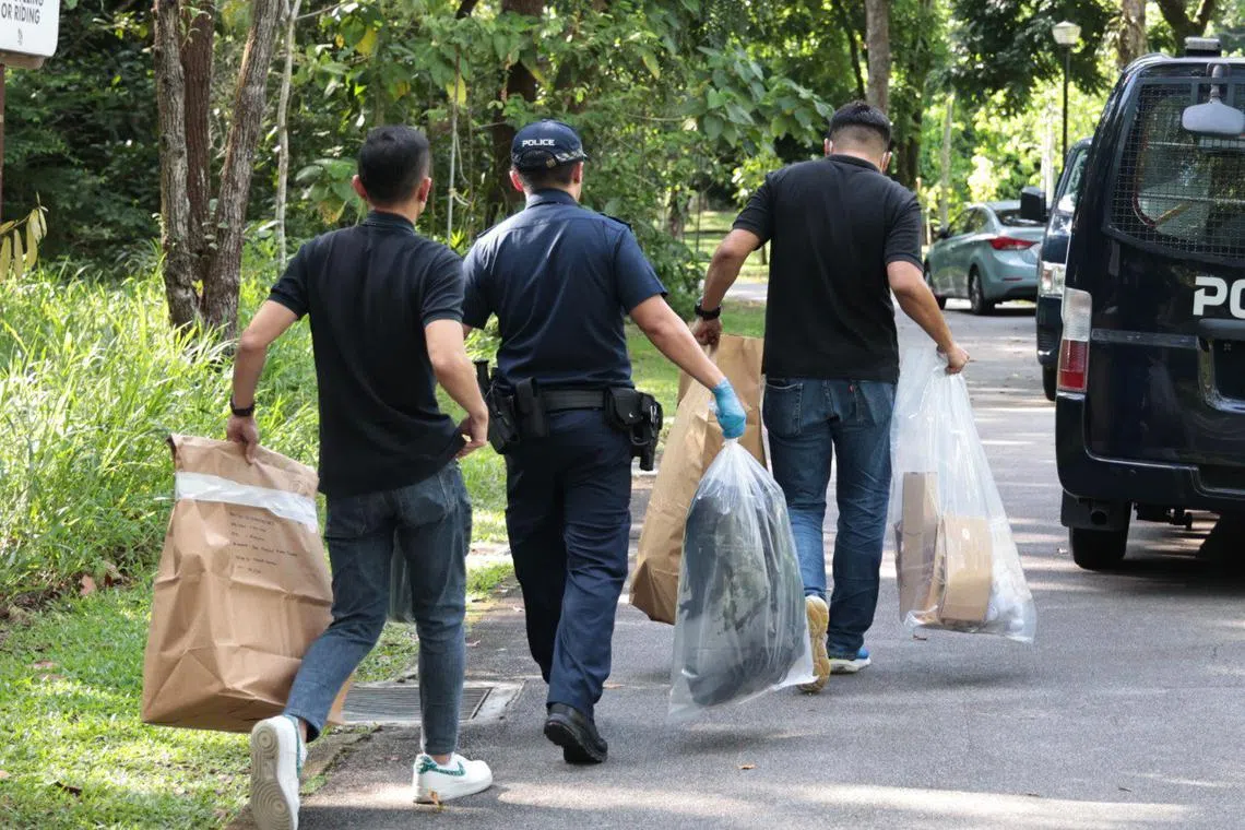 Man allegedly armed with improvised flamethrower in Pasir Ris Park shot ...