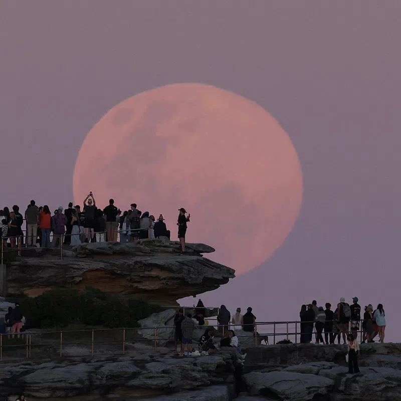 A Beaver Moon supermoon rises over North Bondi in Sydney, Australia, November 05, 2025. REUTERS/Hollie Adams