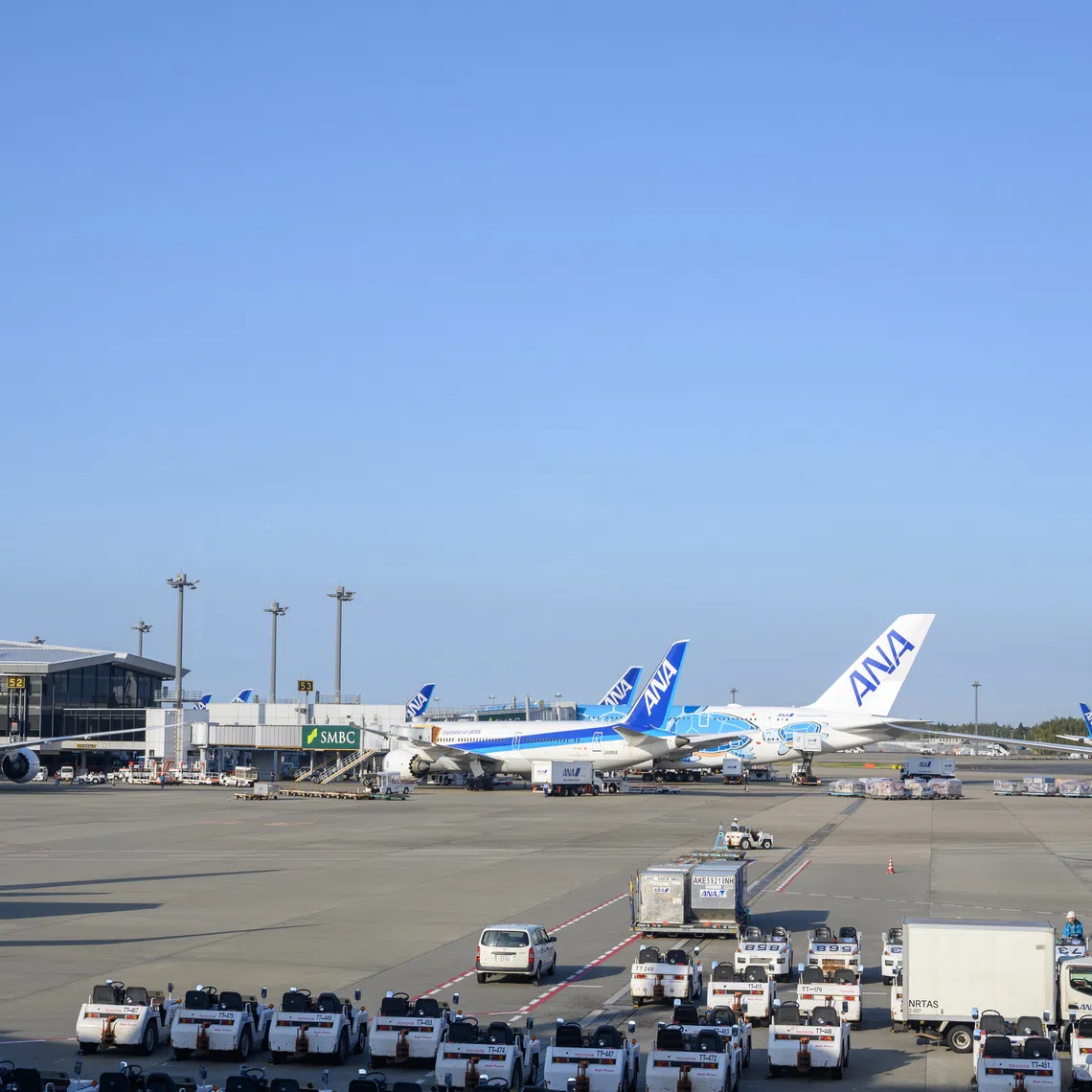 All ANA flights in and out of Narita Airport were cancelled for the day, as well as many flights in and out of Haneda Airport. Japan Airlines said four domestic flights from Narita Airport had been cancelled.
