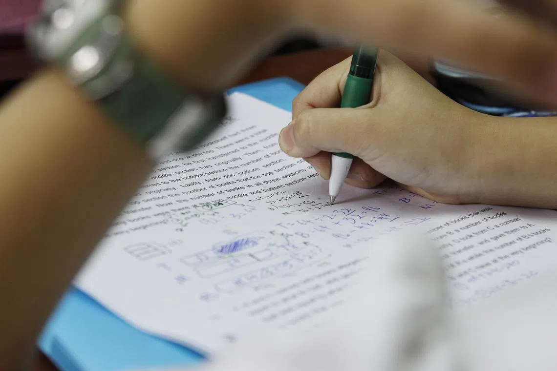 All primary schools will be equipped to identify their own high-ability pupils and run programmes for them.