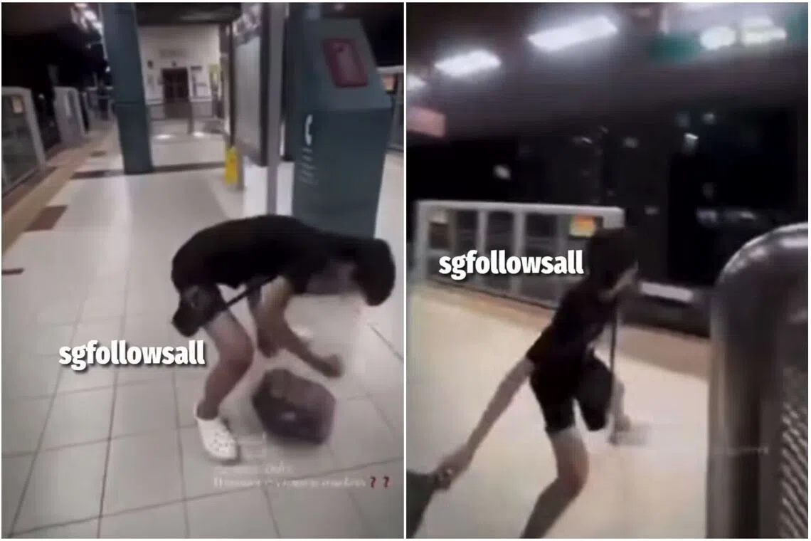 Online footage shows the boy hurling the bag off Cove LRT platform.